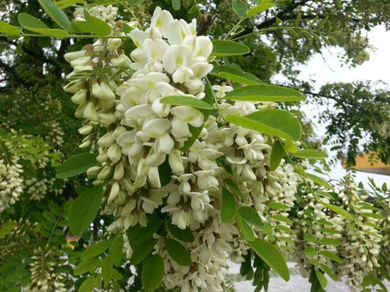 20130511_153646